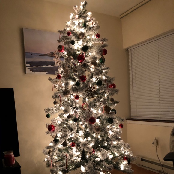 Meet your Posher, Raj - Picture 1 of 1